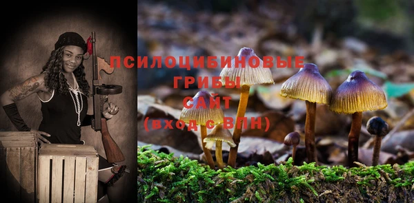 бутират Гусь-Хрустальный