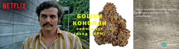 дурь Волоколамск