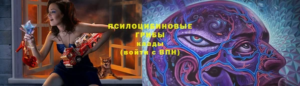 бутират Гусь-Хрустальный